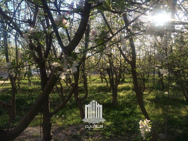 فروش 1142 متر باغ و باغچه در شهریار شهریار