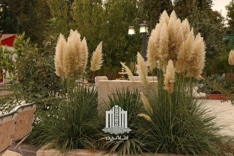 فروش 4500 متر باغ ویلا در محمدشهر محمدشهر
