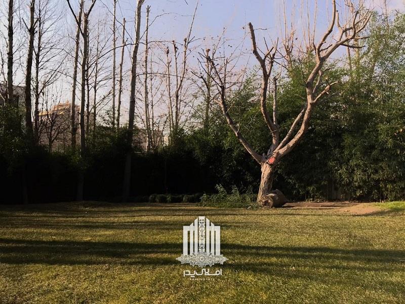 فروش 1400 متر باغ ویلا در محمدشهر محمدشهر