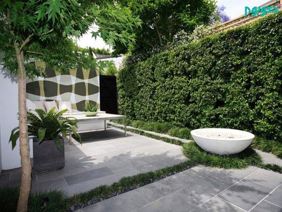 طراحی دیوار سبز در محوطه باغ ویلا